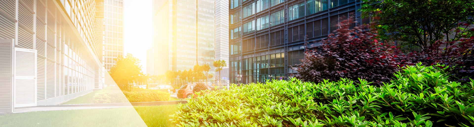 Corporate greenspace header picture